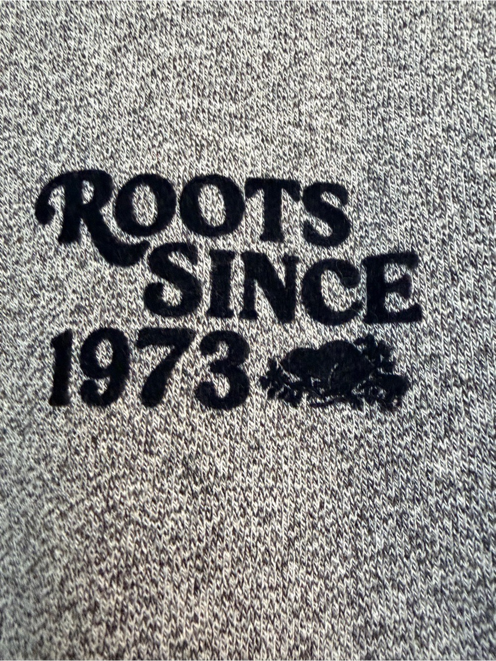 ❤️Roots Since 1973 Cabin Crewneck Colorblock Sweatshirt Size Small Oversized - Picture 3 of 7
